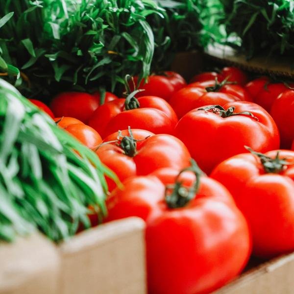 Big Tomato